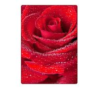 Red Rose Flower Notebook / Journal: Classy Lined Gardening / Horticultural Themed Notepad / Planner For Men, Women, Boys & Girls (Kids) | Makes A Great Gift / Present | Large 8.25x11" | 150 Pages.