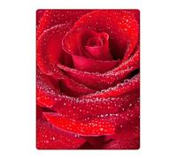 Red Rose Flower Notebook / Journal: Classy Lined Gardening / Horticultural Themed Notepad / Planner For Men, Women, Boys & Girls (Kids) | Makes A Great Gift / Present | Large 8.5x11" | 120 Pages.