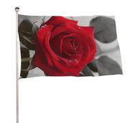 Red Rose2 Bandiera 152,4 x 243,8 cm, stampa su entrambi i lati, bandiera decorativa da giardino, non sbiadisce, con occhielli in ottone da appendere, sfondo fotografico per interni ed esterni