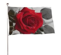Red Rose2 - Bandiera decorativa da giardino, 61 x 88,9 cm, stampa su entrambi i lati, non sbiadisce, con occhielli in ottone, sfondo fotografico da appendere, per interni ed esterni, decorazione per
