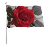 Red Rose2 - Bandiera decorativa da giardino, 89 x 149,9 cm, stampa su entrambi i lati, non sbiadisce, con occhielli in ottone, sfondo fotografico da appendere, per interni ed esterni, decorazione per