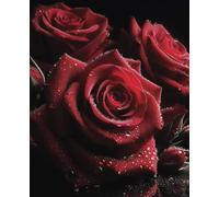 Red Roses on a Black Background Journal/Diary/Notebook: 100 Pages | 7.5 x 9.25"
