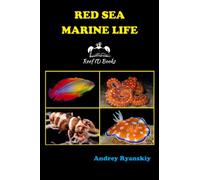 Red Sea Marine Life