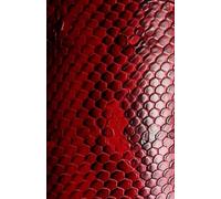 Red Snake Skin Glossy A5 Notebook: Notebook, Journal, Scribble, Affirmations, Gratitude, Song-writing, Poems, Thoughts