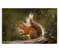 Red Squirrel In The Rain Bandiera Esterna 90X150Cm Stagionali Bandiere Durevole Bandiera Di All'Aperto Per Festival Casa Celebrazione