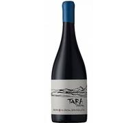 Red Wine N°1 - Pinot Noir 2021 - Tara Atacama