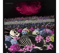 The Dead Rabbitts Redefined (Vinyl LP) 12" Album