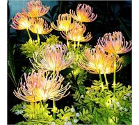 Redefun Luci Solari da Giardino, 2 Pezzi Fiori e Steli Luminosi, Decorazione da Giardino Impermeabile IP65 Luce Solare per Giardino/Percorsi/Terrazza/Patio/Prato