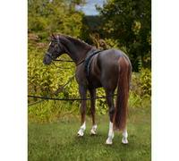 REDINI LUNGHE DA ADDESTRAMENTO - LONG TRAINING REINS