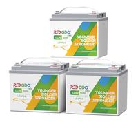 Redodo 12.8V 50Ah(Pack 3) batteria portatile al litio LiFePO4,sostituzione ideale per la batteria AGM SLA da 12V 100Ah, 4000-8000 cicli, perfetta per RV,Camper, dispositivi di sicurezza, ecc.