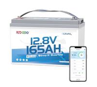 Redodo 12V 165Ah Batteria LiFePO4 con Bluetooth, Basse Temp. per Camper | Group31, BMS 165A, 2112Wh, IP65 Impermeabile, 4000 Cicli, 1,65X Autonomia Adatta Anche per Campeggio, Barche, Motore di Pesca