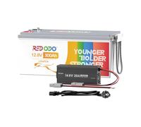 Redodo 12V 300Ah Batteria LiFePO4 con 12V 20A Caricabatterie, BMS 200A Incorporato, 2560W Potenza, 3840Wh Capacità, 4000-15000 Cicli Profondi, Perfetta per Sistema Domestico Solare Off-Grid, RV