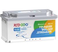 Redodo Batteria Litio 12,8V 100Ah H190,Smart Bluetooth Batterie Lifepo4 con 100A BMS,1280Wh,con Altezza di 188mm,Protezione dalle Basse Temperature,per Camper,RV,Roulotte