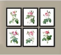 Redoute Rosa Muro Arte Set Di 6 senza Cornice Floreale Ragazze Room Decorazione