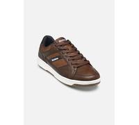 Redskins - Gandhi Marrone - Sneakers 41 Marrone