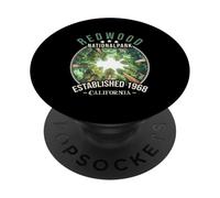 Redwood National Park | California PopSockets PopGrip Adesivo
