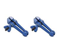 Reeatel 2X Mini Pinze Multi-Funzione un Mano Vite un Ganasce Piccole Morsa di Precisione da 25Mm per Impieghi Gravosi