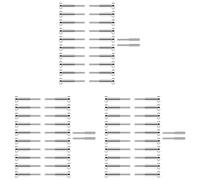 Reeatel Kit Ringhiera per Cavi Invisibile da 60 Pezzi, Tenditore SST316 e Terminale Nascosto per Ringhiera per Cavi, per Legno/Livello/di Scale