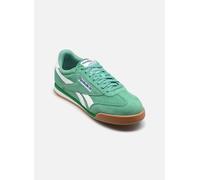 Reebok - Campio XT M Verde - Sneakers 42 1/2 Verde