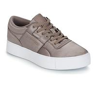 Reebok Classic Sneakers basse WORKOUT LO FVS TXT in Grigio 36