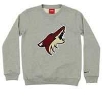 Reebok NHL Youth Arizona Coyotes Prime Pullover in Pile Crew, Grigio, Bambino, Evelina, Medium (10/12)