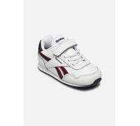 Reebok - Reebok Royal Cl Jog 3.0 1V Bianco - Sneakers 23 1/2 Bianco