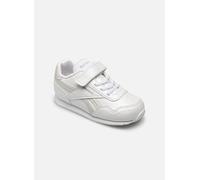 Reebok - Reebok Royal Cl Jog Bianco - Sneakers 25 Bianco