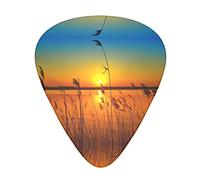 Reeds by the river - Set di 12 plettri per chitarra acustica, confezione da regalo per chitarra acustica, plettri con scatola trasparente