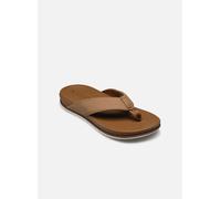 Reef - Cushion Bonzer Marrone - Infradito 44 Marrone