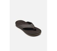 Reef - Cushion Bonzer Marrone - Infradito 46 Marrone