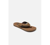 Reef Cushion Dawn, Infradito Uomo, Bronzo, 47 EU