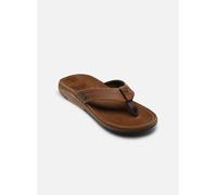 Reef - Leather Offshore Marrone - Infradito 46 Marrone