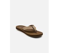 Reef - The Groundswell Marrone - Infradito 44 Marrone