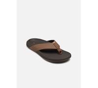 Reef - The Raglan Marrone - Infradito 43 Marrone