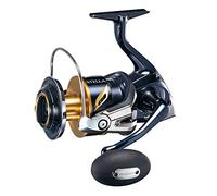 Reel Stella SW C 10000 PG