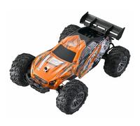 REEL TOYS Model. 1:16 R/C Sport Trax Buggy