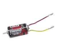 Reely 511591C Parte di ricambio Motore elettrico 550er