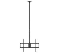 Reflecta PALLAS 100-8060T Supporto a soffitto per TV 127,0 cm (50) - 254,0 cm