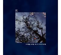 Reflection in the Dark Water