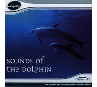 Reflection - Sounds of the Dolphin