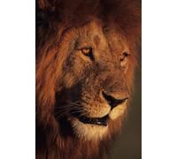 Reflections in the water - Understanding life's lessons through animals and nature: Wild animals and the natural systems teach us everything we need to know about life to be successful and respectful