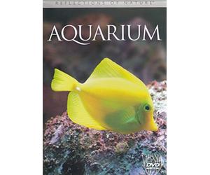 Reflections of Nature -- Aquarium