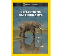 Reflections on Elephants (DVD) Beverly Joubert Dereck Joubert
