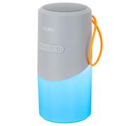 Reflexion BTX705 Altoparlante Bluetooth grigio con luce LED | Scatola musicale senza fili con suono da 40 W, protezione IPX e slot MicroSD | USB-C, 3 ore di riproduzione | Compatto e portatile