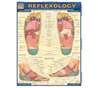 Reflexology: Pressure Points of the Hands & Feet, Color-coded & Mapped from Multiple Views