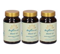 Reflower Breast Up Capsule 3x48 g Capsule
