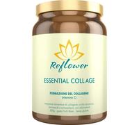 REFLOWER ESSENTIAL COLL AGE CI