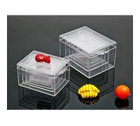 ReFor - Scatola di plastica trasparente, forma rettangolare, per esporre esemplari e da scrivania, contenitore trasparente adatto per gioielli o forniture per ufficio (A)