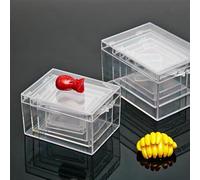 ReFor - Scatola portaoggetti in plastica trasparente per esemplari ct e da scrivania, adatta per gioielli o forniture per ufficio (A)