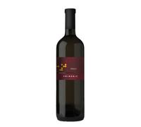 Refosco dal Peduncolo Rosso Primosic 2021